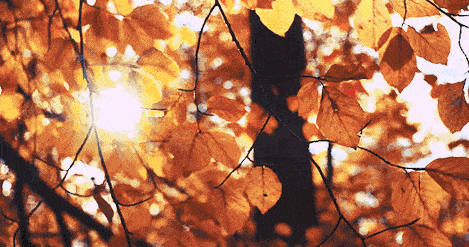 季节与季节之间,岁月如歌